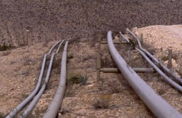 Oil